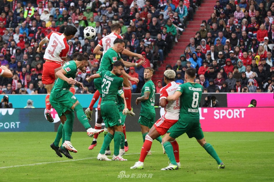 忽视的因素 忽视的因素